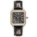 Santos Dumont W2SA0015