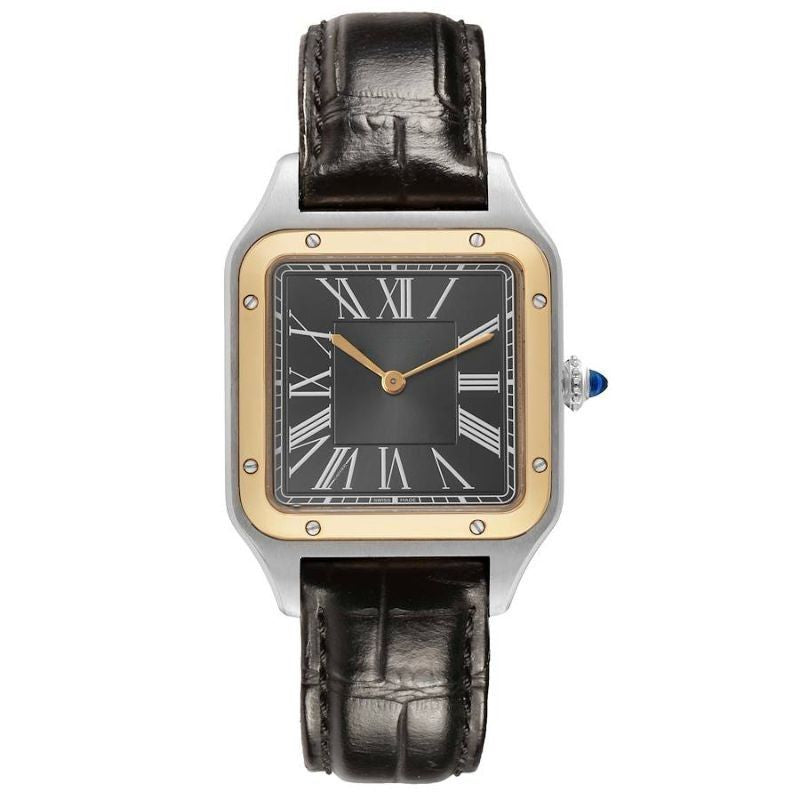 Santos Dumont W2SA0015